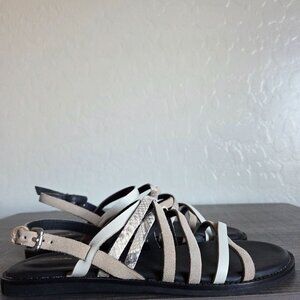 Clarks Karsea Ankle Leather Strappy Sandal Flat Taupe Snake/Black Size Womens 8